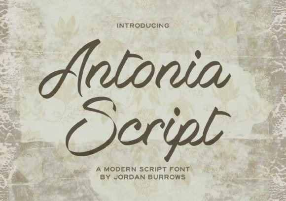 Antonia Script: A Beautiful Font for Handmade Creators