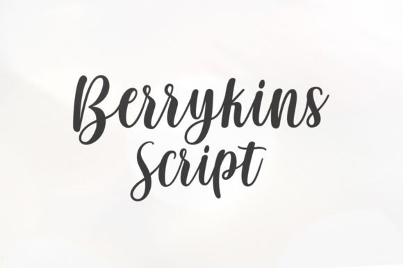 Berrykins Script for Creative Web Design and Branding