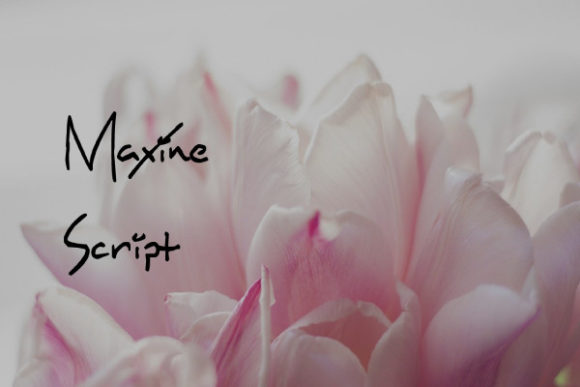 Maxine Script: A Timeless Script Font for Modern Web Design