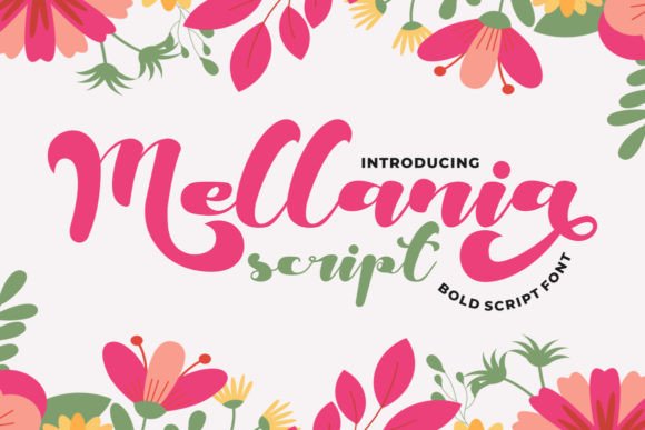 Mellania Script: A Bold and Cute Script Font for Web Designers