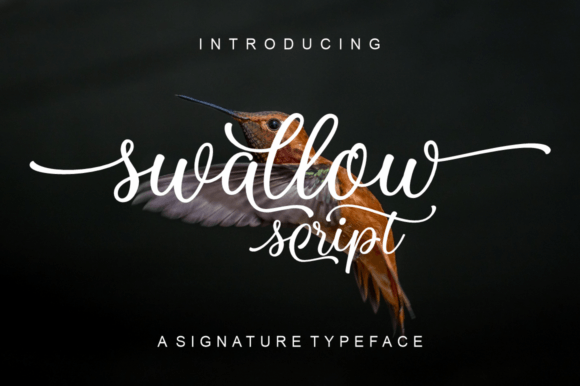 Swallow Script: A Timeless Script Font for Creative Branding
